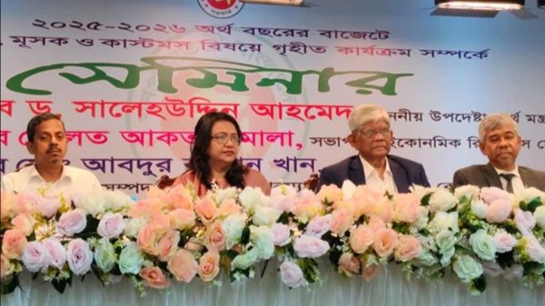 শুধু ভুল নয়, সরকারের ভালো দিকও দেখা উচিত: ড. সালেহউদ্দিন আহমেদ"