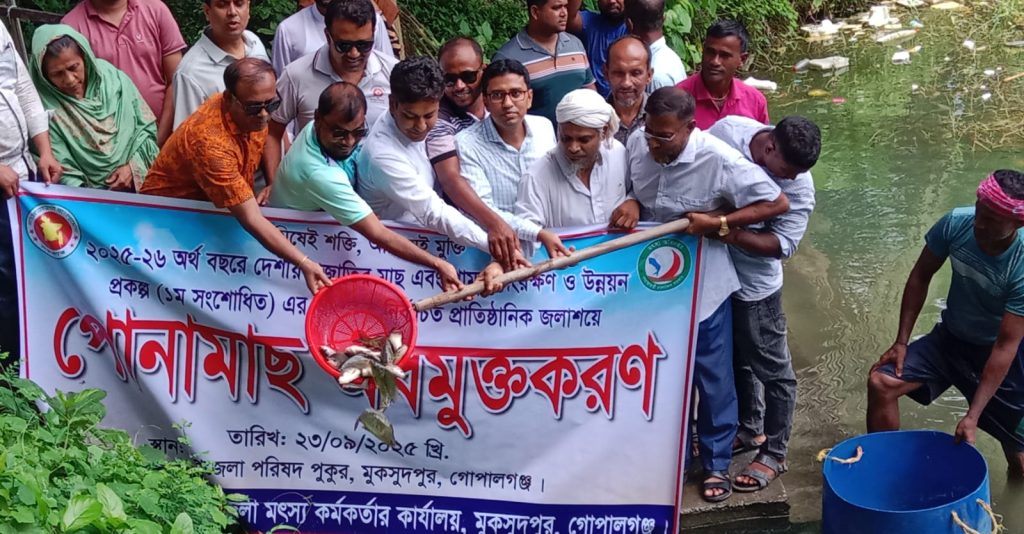 দেশীয় প্রজাতির মাছ ও শামুক সংরক্ষণ ও উন্নয়ন প্রকল্পের আওতায় ৩৩৩.৩৩ কেজি পোনা অবমুক্ত