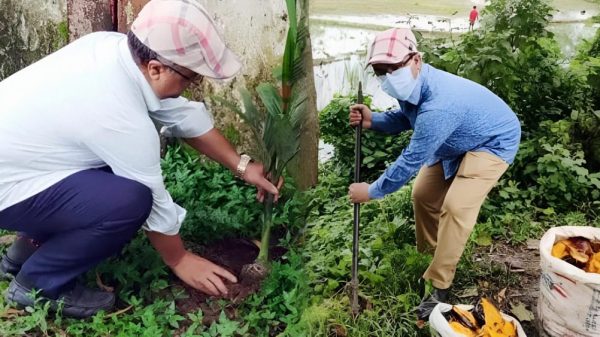 নিজ অর্থে ৬০ হাজার গাছ রোপণ: ‘বৃক্ষবন্ধু’ শিক্ষক নুরুল ইসলাম।