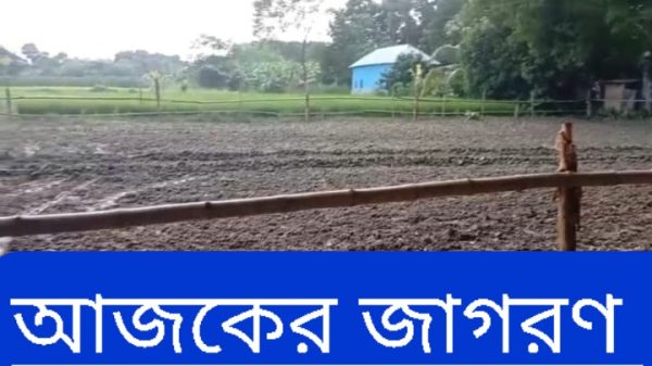 বোয়ালমারীতে সাংবাদিকসহ প্রভাবশালীদের বিরুদ্ধে জমি দখল ও ফসল নষ্টের অভিযোগ