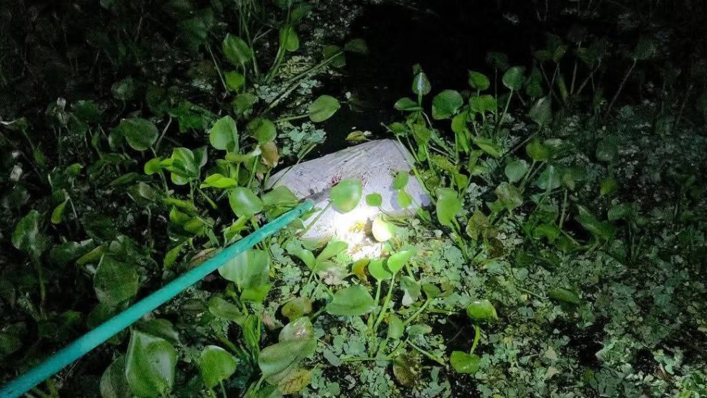 মুকসুদপুরে বস্তাবন্দি লাশ উদ্ধার: নিখোঁজের চার দিন পর মিললো অন্তঃসত্ত্বা গৃহবধূর মরদেহ