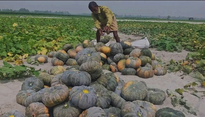 উত্তরাঞ্চলে টানা বৃষ্টি, বাড়ছে তিস্তার পানি—ফসল নিয়ে দুশ্চিন্তায় কৃষকরা