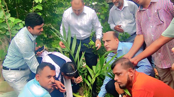 গোপালগঞ্জের মুকসুদপুরে ৩ হাজার সুপারি গাছ রোপণ কর্মসূচির উদ্বোধন