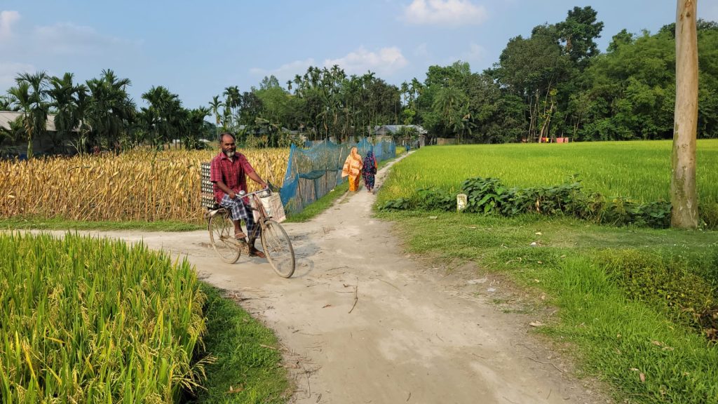 শান্তিপূর্ণ পরিবেশে ফুলবাড়ী সীমান্ত" পশ্চিমবঙ্গের বিধানসভা নির্বাচনের গণনা ঘিরে কুড়িগ্রাম সীমান্তে নেই উত্তেজনা, জোরদার বিজিবি টহল