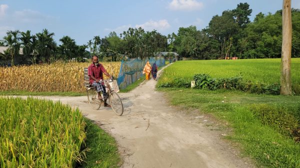 শান্তিপূর্ণ পরিবেশে ফুলবাড়ী সীমান্ত" পশ্চিমবঙ্গের বিধানসভা নির্বাচনের গণনা ঘিরে কুড়িগ্রাম সীমান্তে নেই উত্তেজনা, জোরদার বিজিবি টহল