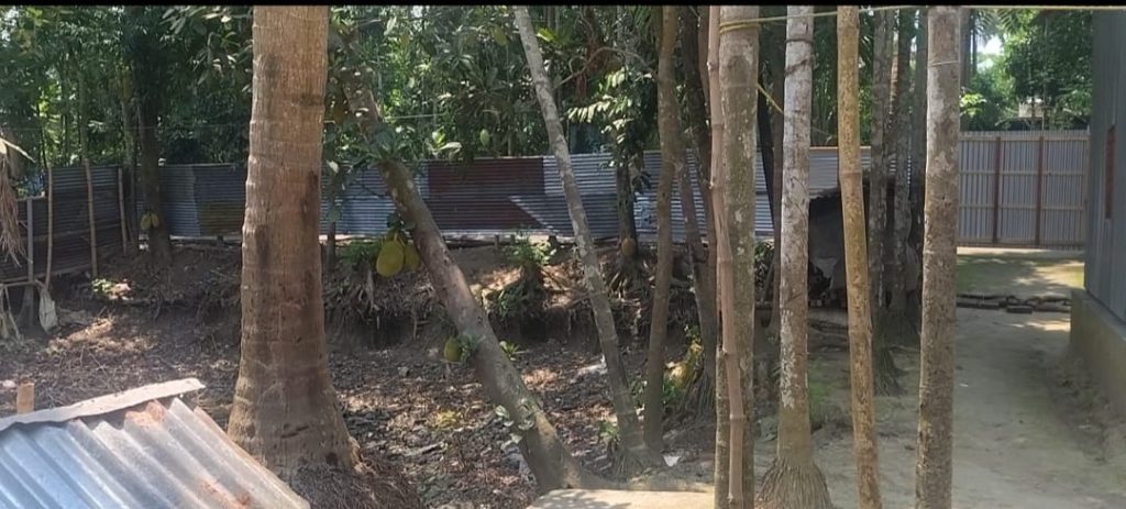 ডিসিআরভুক্ত জমি নিয়ে বিরোধ, অসহায় পরিবারের বসবাস নিশ্চিতের দাবি