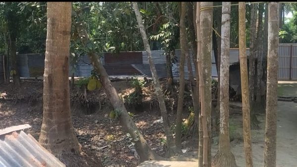 ডিসিআরভুক্ত জমি নিয়ে বিরোধ, অসহায় পরিবারের বসবাস নিশ্চিতের দাবি
