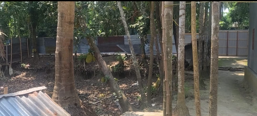 ডিসিআরভুক্ত জমি নিয়ে বিরোধ, অসহায় পরিবারের বসবাস নিশ্চিতের দাবি