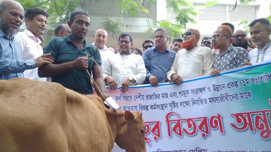মুকসুদপুরে ৬০ জন মৎস্যজীবীর মাঝে বকনা বাছুর বিতরণ, বিকল্প আয়ের সুযোগ সৃষ্টি