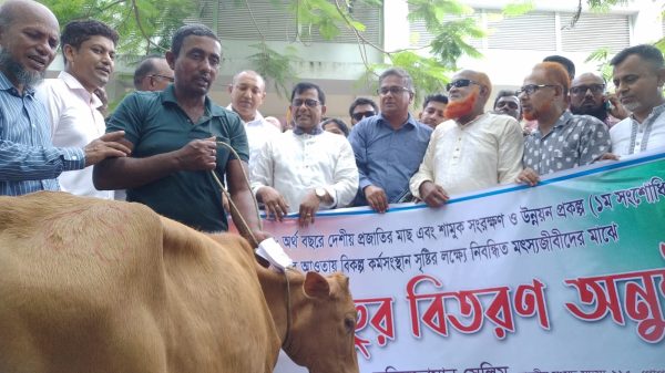 মুকসুদপুরে ৬০ জন মৎস্যজীবীর মাঝে বকনা বাছুর বিতরণ, বিকল্প আয়ের সুযোগ সৃষ্টি