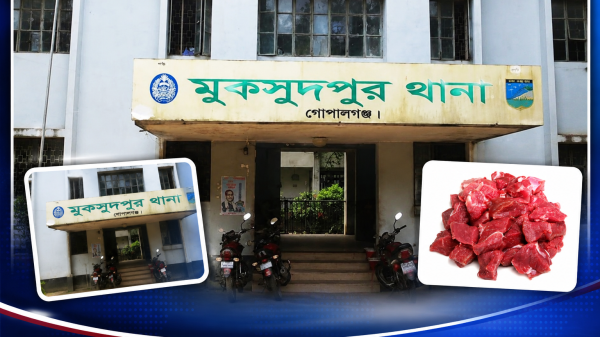 গোপালগঞ্জে গরুর মাংস বিক্রি নিয়ে বিভ্রান্তি, অবস্থান পরিষ্কার করলো প্রশাসন