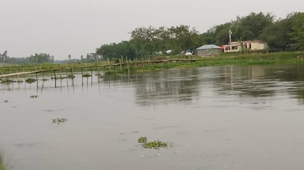 নীলফামারীর অধিকাংশ নদী নাব্যতা হারিয়ে ভরাট হয়েছে