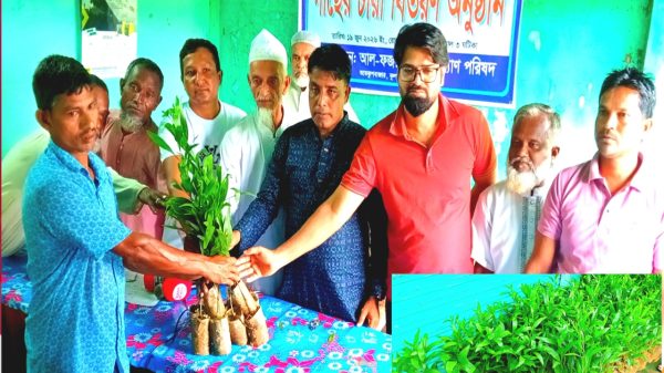 আল-ফজর সমাজ কল্যাণ পরিষদের উদ্যোগে এক হাজার গাছের চারা বিতরণ