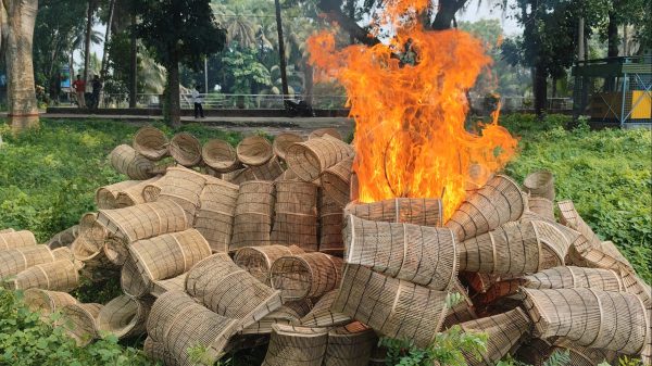 মুকসুদপুরে অবৈধ মাছ ধরার ৩০০ পিস দোহার জব্দ, আগুনে ধ্বংস