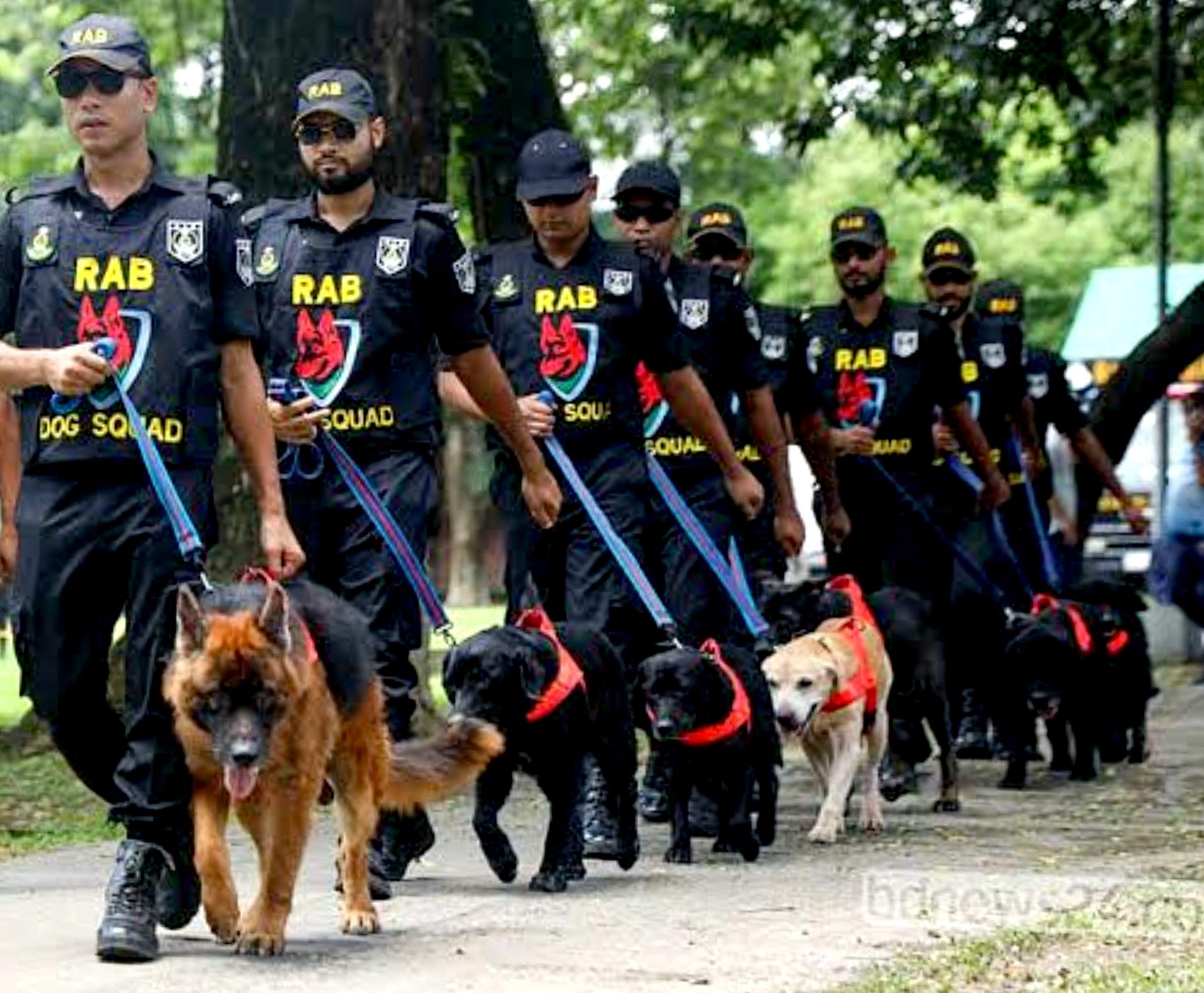 র‍্যাব বিলুপ্ত করে নতুন ‘এসআরবি’ গঠনের খসড়ায় মন্ত্রিসভার অনুমোদন