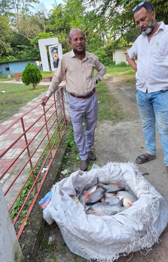 মুকসুদপুরে নিষিদ্ধ পিরানহা মাছ জব্দ, মাটিতে পুঁতে ধ্বংস