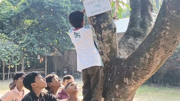 পুরোনো কার্টন ও খাতার পাতা দিয়ে প্ল্যাকার্ড বানিয়ে পরিবেশ, সড়ক নিরাপত্তা, মাদকবিরোধী ও নৈতিকতার বার্তা ছড়াচ্ছে পঞ্চম শ্রেণির শিক্ষার্থী