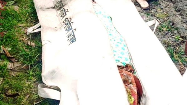 কাশিয়ানীতে বাসচাপায় স্বামী-স্ত্রী নিহত