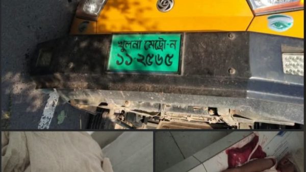 মুকসুদপুরে মাছের পিকআপের চাপায় বাবা-মেয়ের মৃত্যু